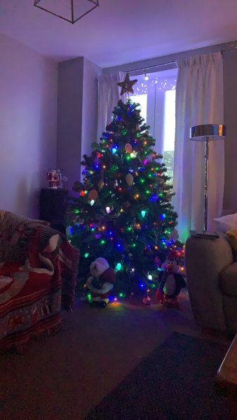 1011F252-050F-4CF3-9935-049AC71710E5.jpeg