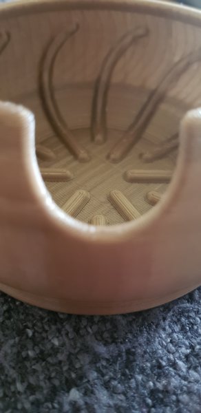 20190909_130219.jpg