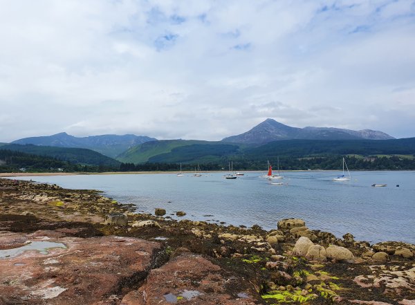 20210703_135145 (2).jpg