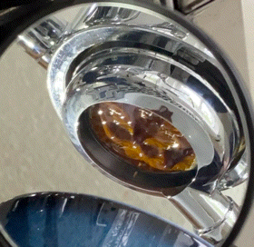 20260613_111721.gif