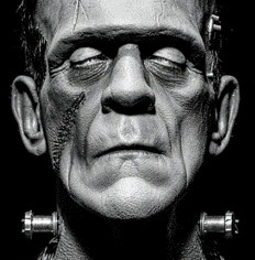 20260613_164207.gif
