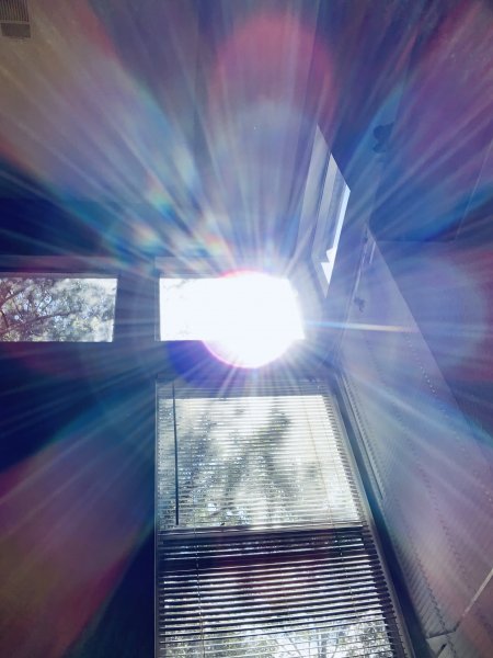 9547ED88-1D58-4567-BCAA-F3437B127B00.jpeg