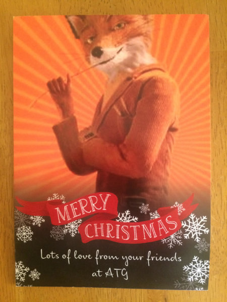 fox.jpg