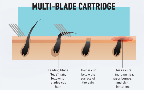 image-8-1024x635.png