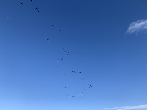 IMG_0449.JPG