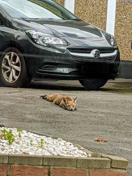 IMG_20200828_115138~2.jpg