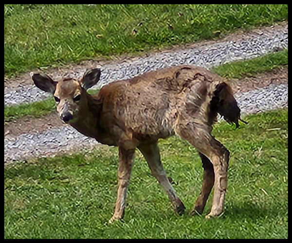IMG_20260410_192453_edited.jpg