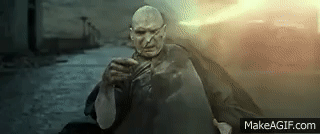 IMG_2155.gif