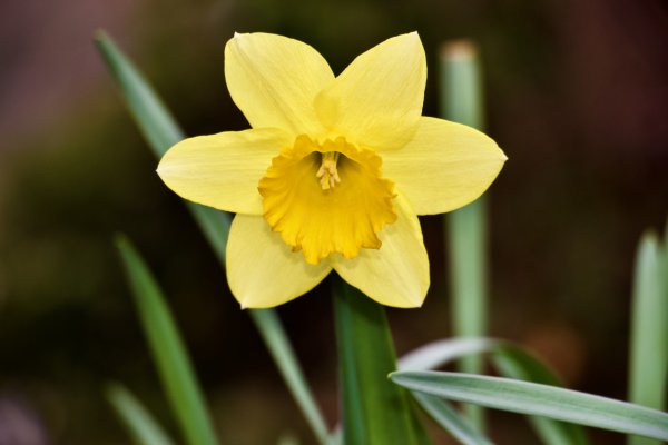 IMG_5397.jpeg