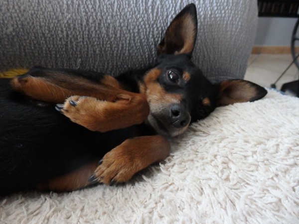 P1050049.JPG