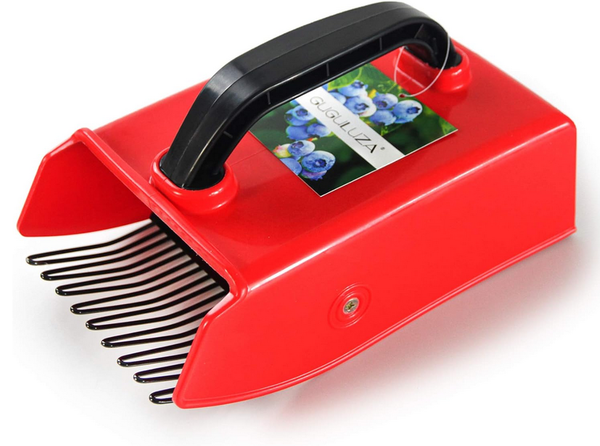 Screenshot 2026-05-20 at 20-43-02 GUGULUZA Berry Picker Comb Plastic Blueberry Rake Scoop for ...png