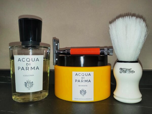 sotd 3 1 2025.JPG