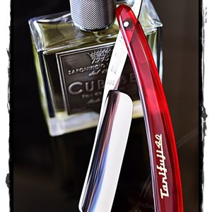 SOTD